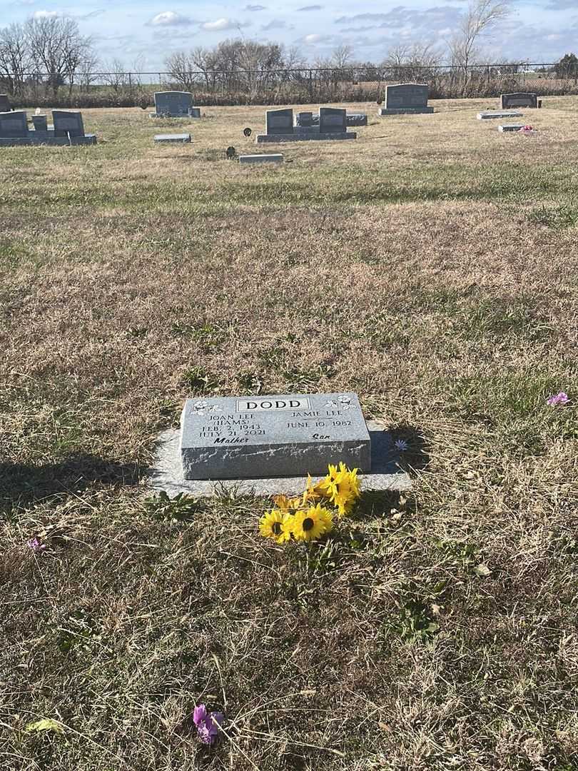 Joan Lee Iiams Dodd's grave. Photo 2
