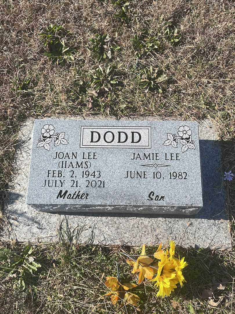 Joan Lee Iiams Dodd's grave. Photo 1