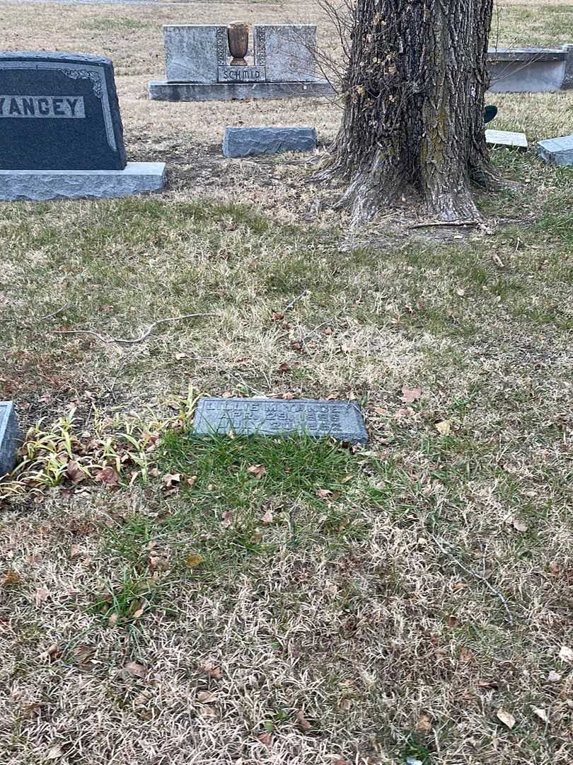 Lillie M. Yancey's grave. Photo 2
