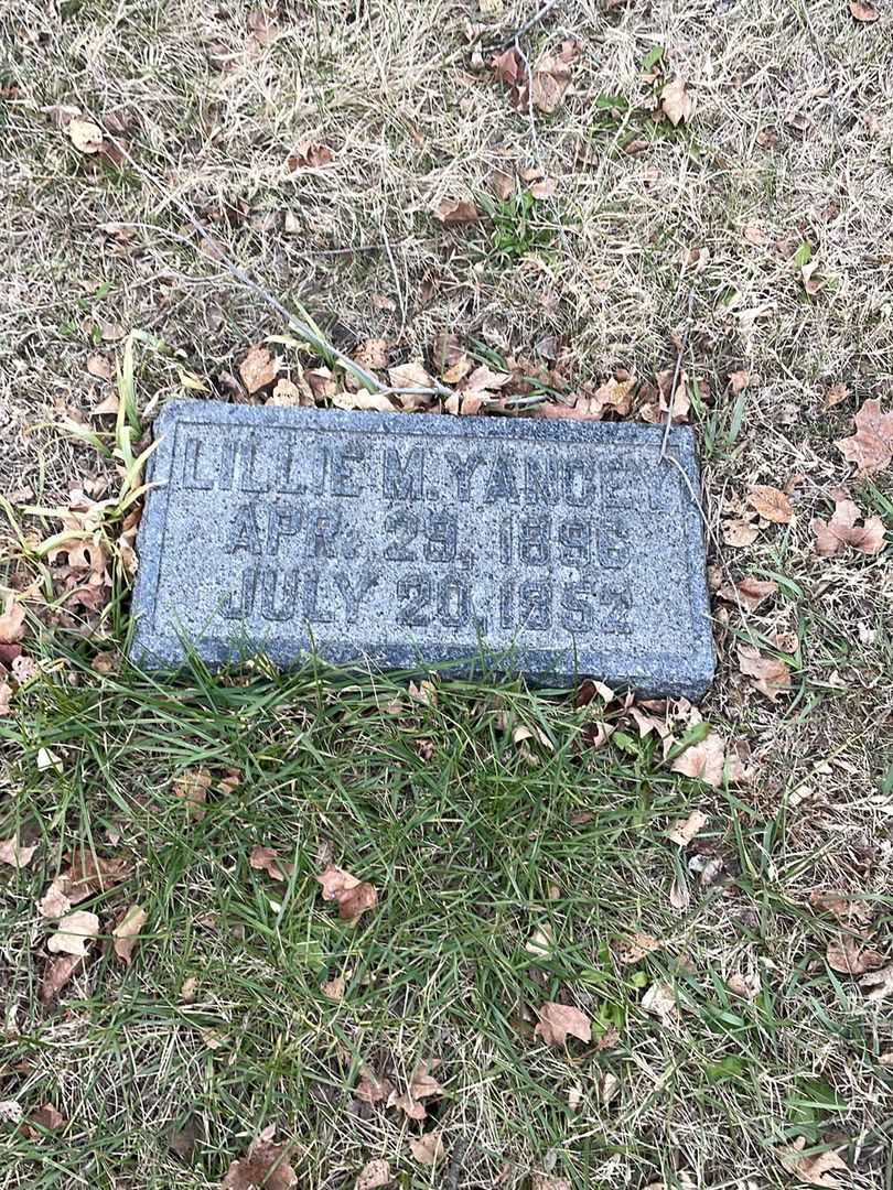 Lillie M. Yancey's grave. Photo 3