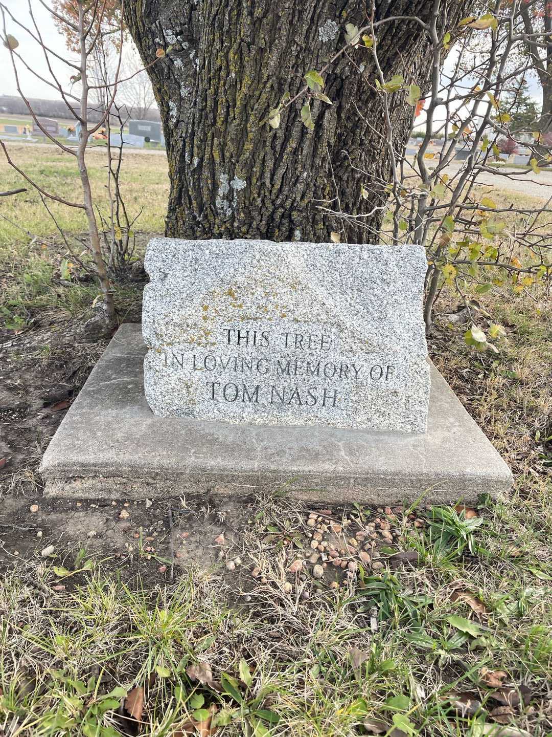 Allen T. Nash's grave. Photo 4