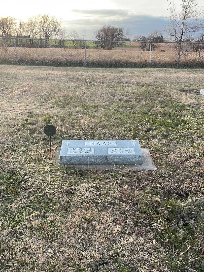 Harvey H. Haas's grave. Photo 2