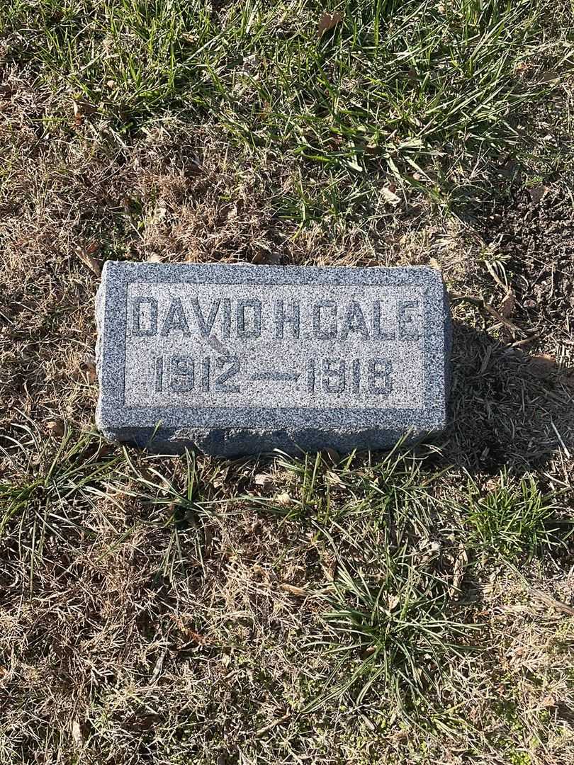 David H. Cale's grave. Photo 1