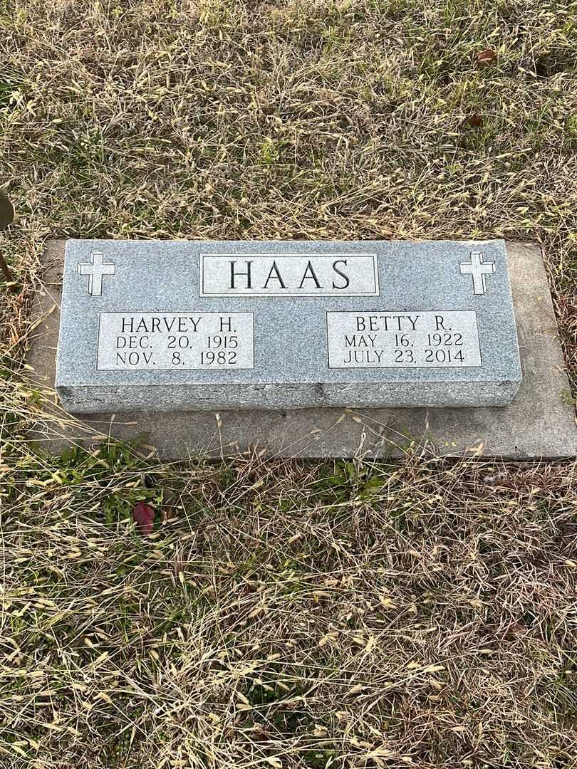 Harvey H. Haas's grave. Photo 1
