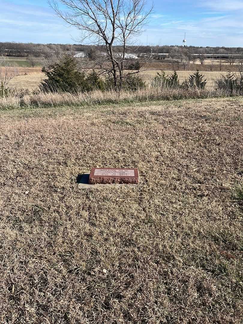 Nelson Neal Jacobson's grave. Photo 2