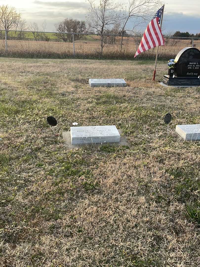 Harvey H. Haas Junior's grave. Photo 2