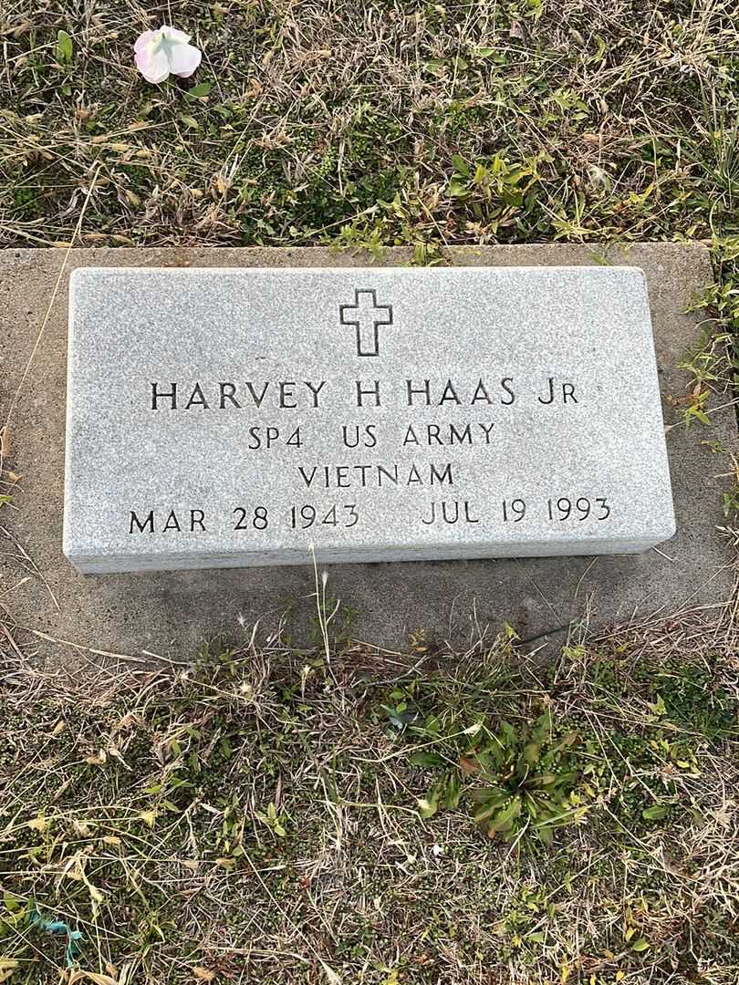Harvey H. Haas Junior's grave. Photo 1