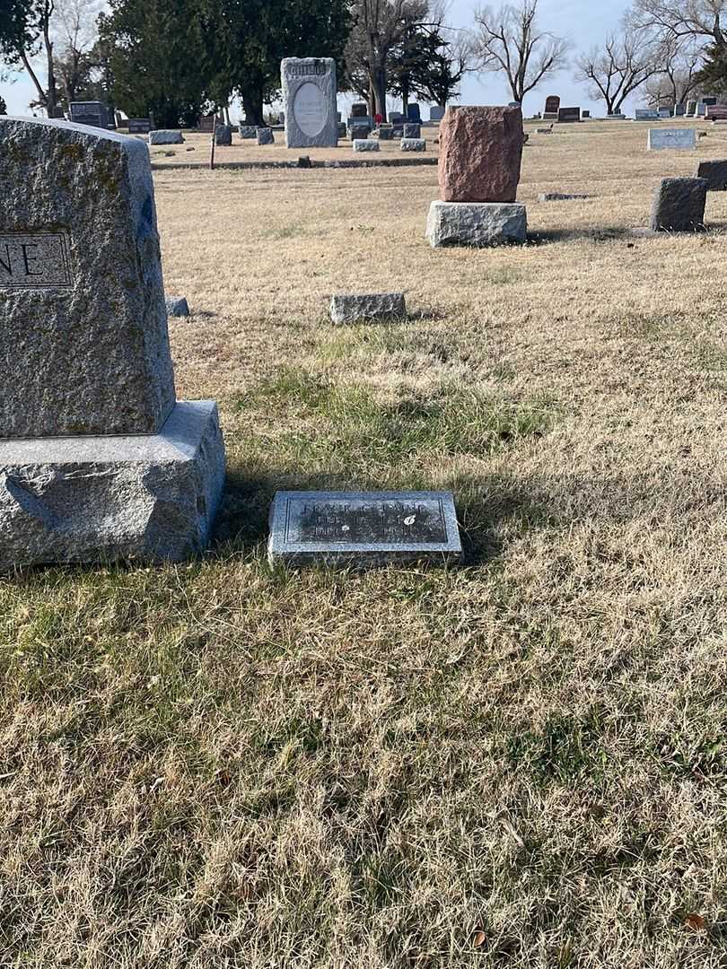Frank C. Laine's grave. Photo 2