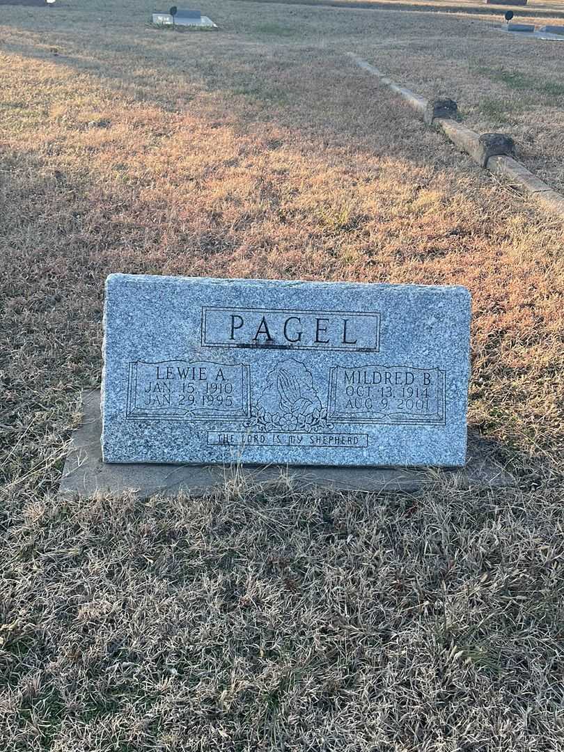 Lewie A. Pagel's grave. Photo 1