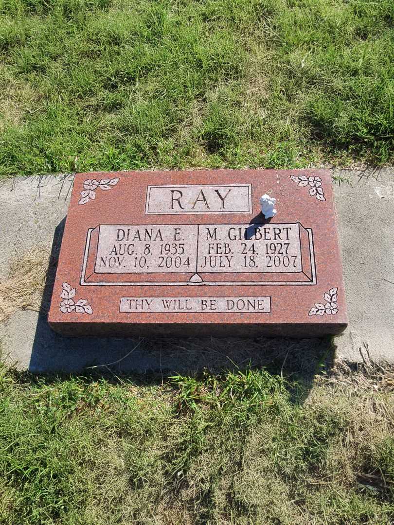 Diana E. Ray's grave. Photo 1