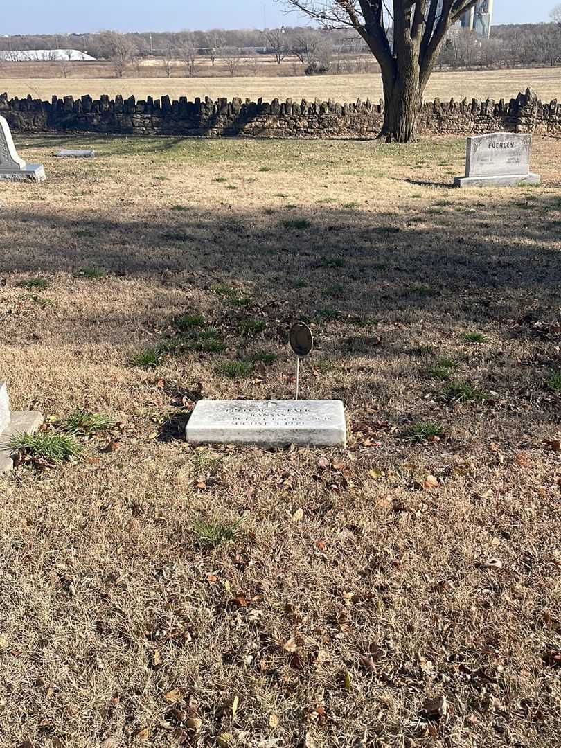 Fred W. Falk's grave. Photo 2